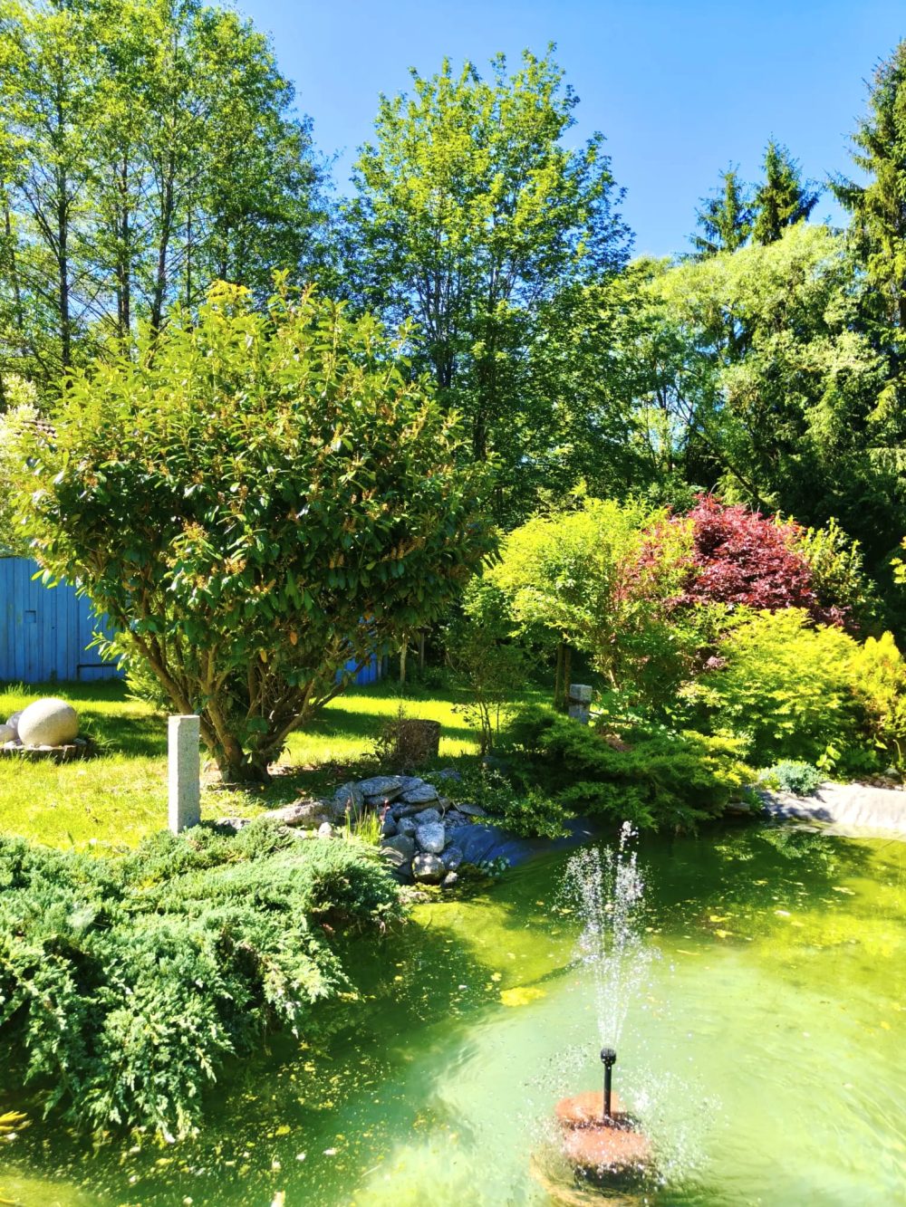 Garten Bild
