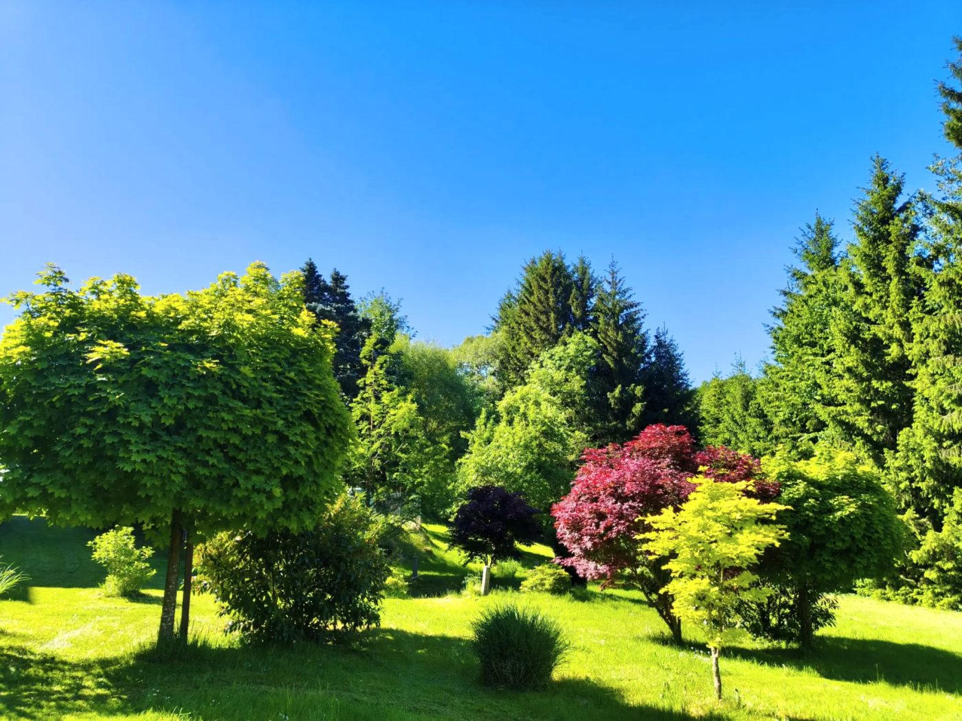 Garten