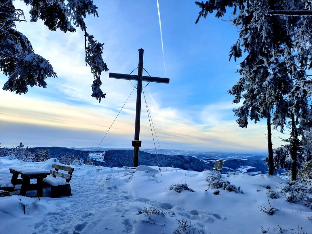 Käsplatte im Winter