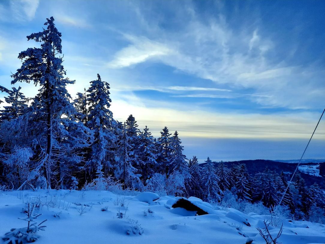 Winter auf der Käsplatte