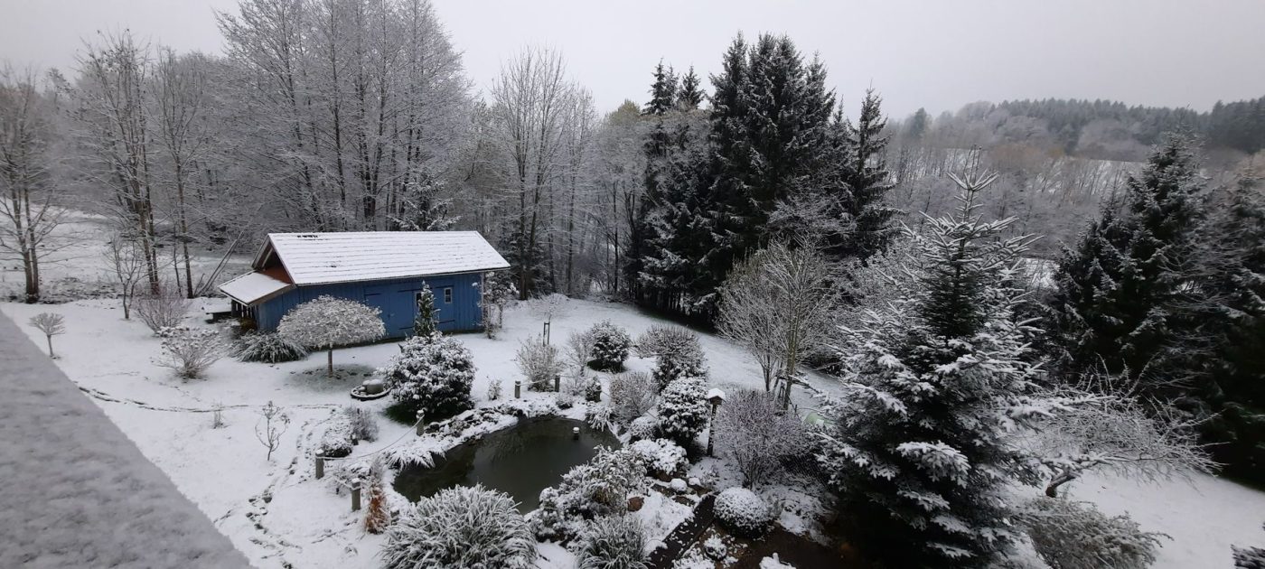 Garten im Winter