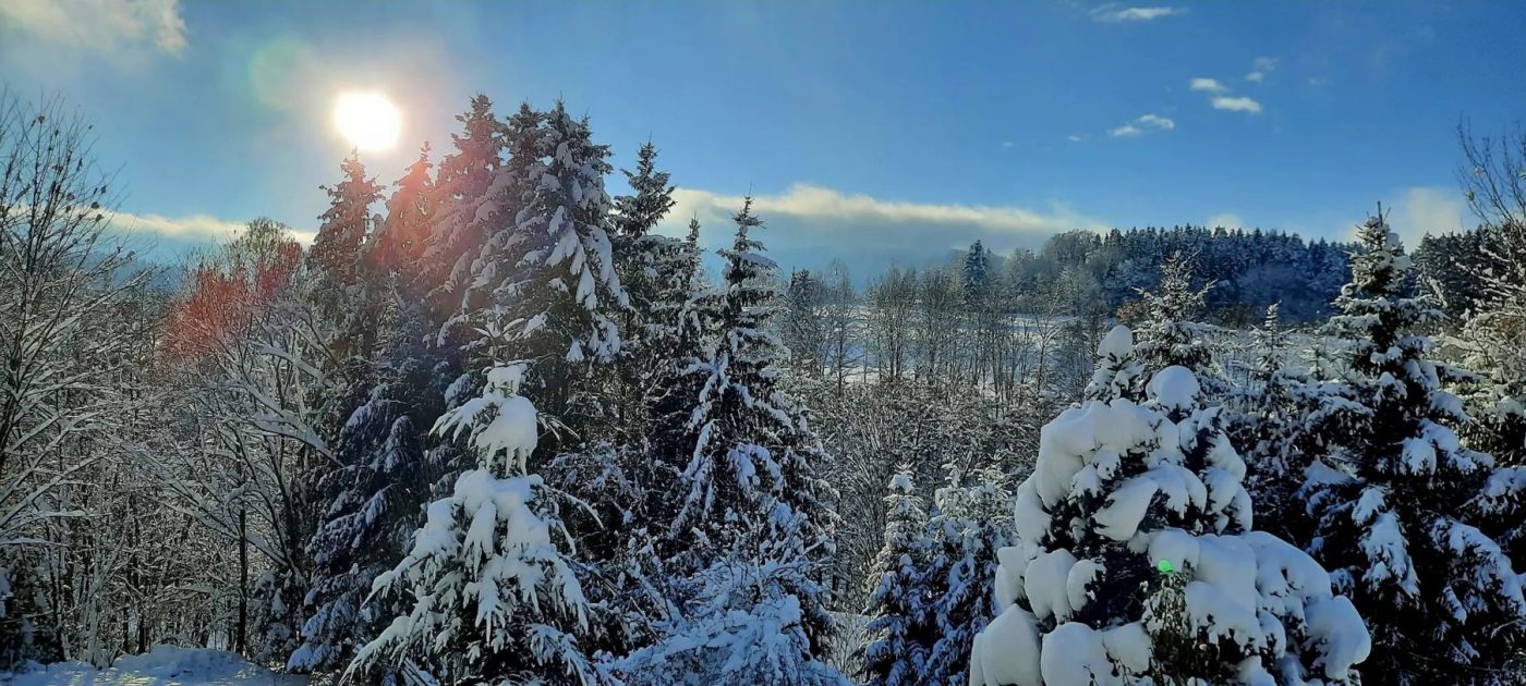Winter vom Balkon aus