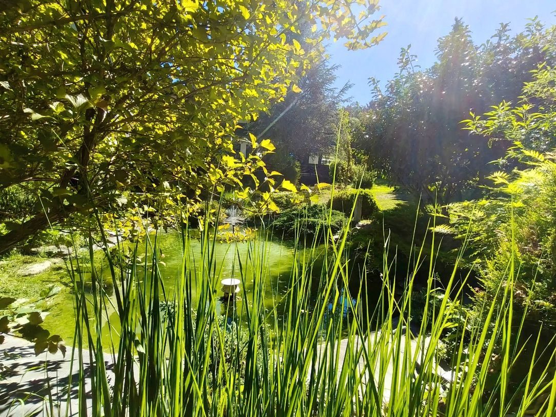 Gartenteich