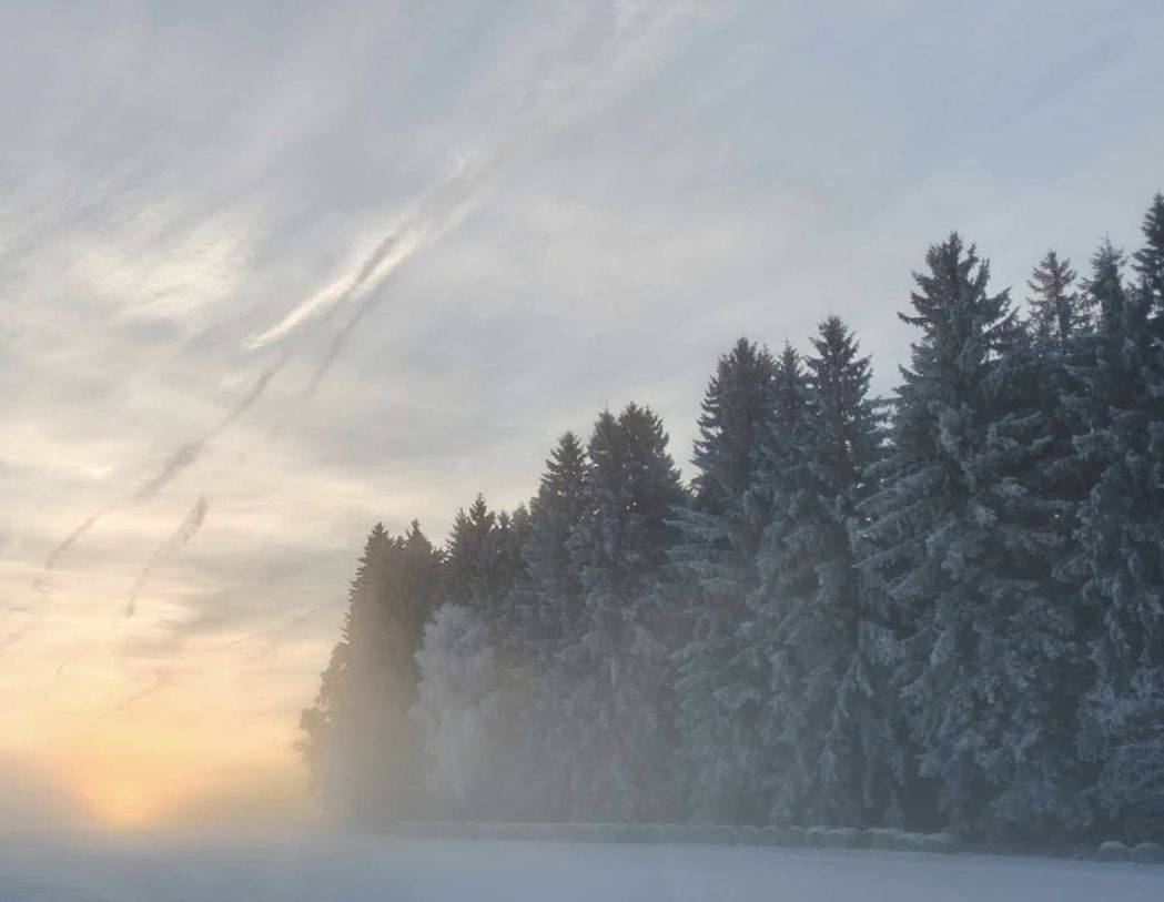 Winter